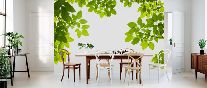 PHOTOWALL / Ceiling of Fresh Leaves (e40691)