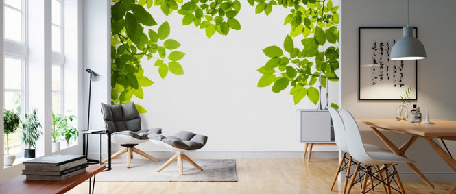 PHOTOWALL / Ceiling of Fresh Leaves (e40691)