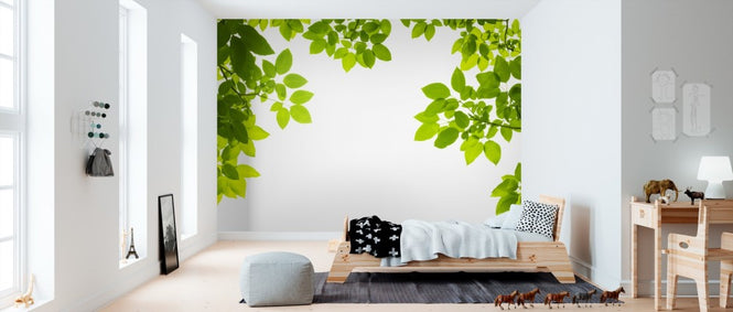 PHOTOWALL / Ceiling of Fresh Leaves (e40691)