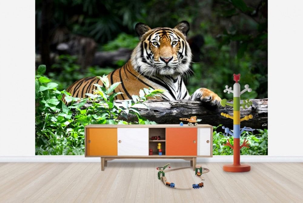 ネパールのタペストリー PHOTOWALL / Bengal Tiger (e40704) | 輸入壁紙専門店 WALPA