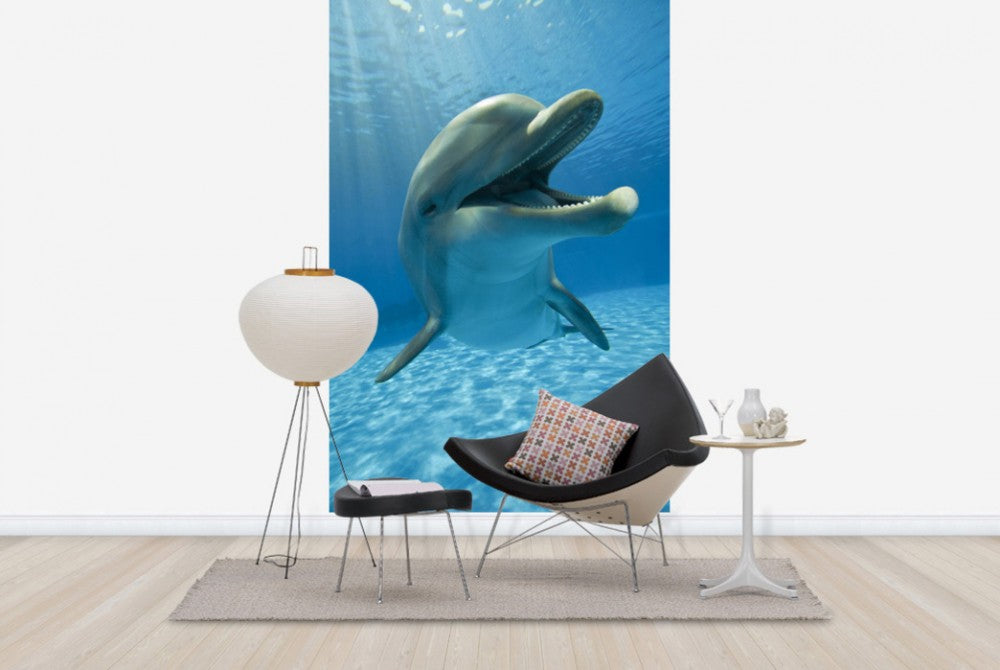 PHOTOWALL / Encounter with Dolphin (e40705) | 輸入壁紙専門店 WALPA