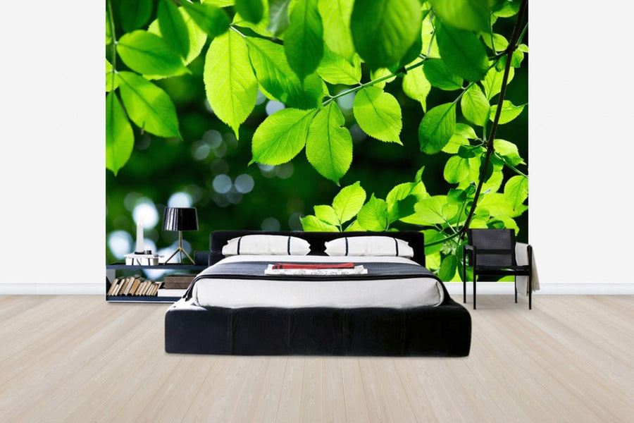 PHOTOWALL / Greenery Leaves Background (e40696)