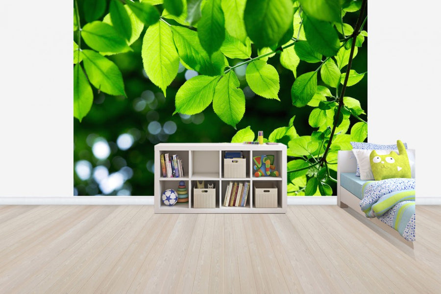 PHOTOWALL / Greenery Leaves Background (e40696)