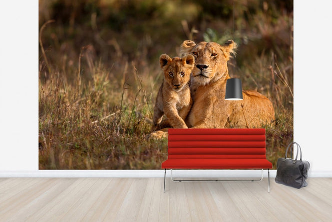 PHOTOWALL / Lion Mother and Cub (e40707)