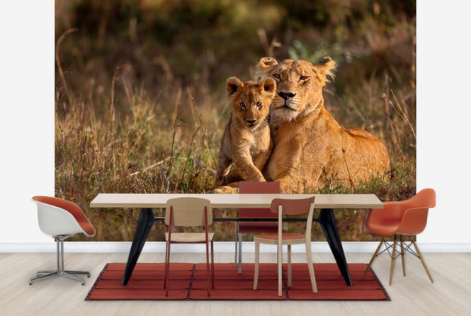 PHOTOWALL / Lion Mother and Cub (e40707)