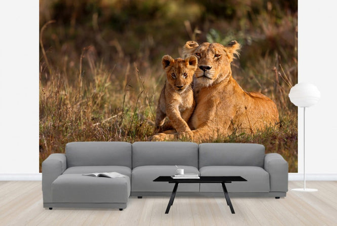 PHOTOWALL / Lion Mother and Cub (e40707)