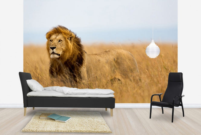 PHOTOWALL / Lions Watch (e40708)