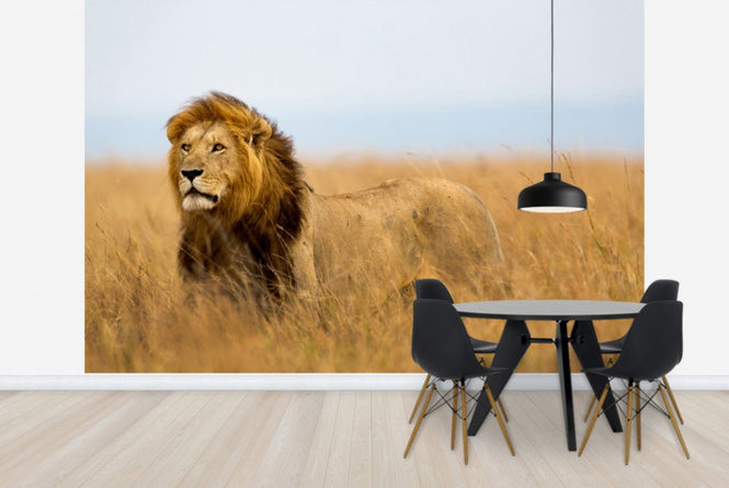PHOTOWALL / Lions Watch (e40708)