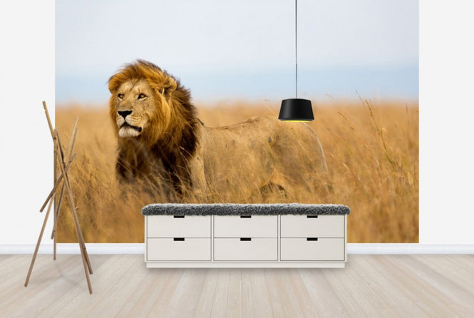 PHOTOWALL / Lions Watch (e40708)