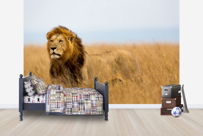 PHOTOWALL / Lions Watch (e40708)