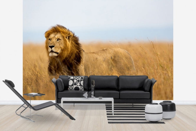 PHOTOWALL / Lions Watch (e40708)
