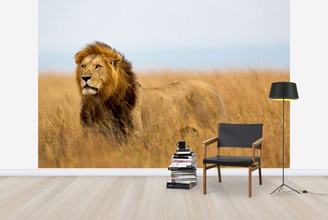 PHOTOWALL / Lions Watch (e40708)