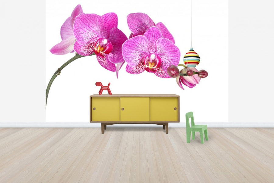 PHOTOWALL / Innocent Orchid (e40698)