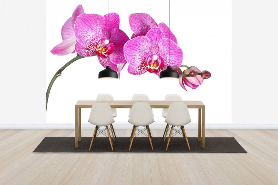 PHOTOWALL / Innocent Orchid (e40698)