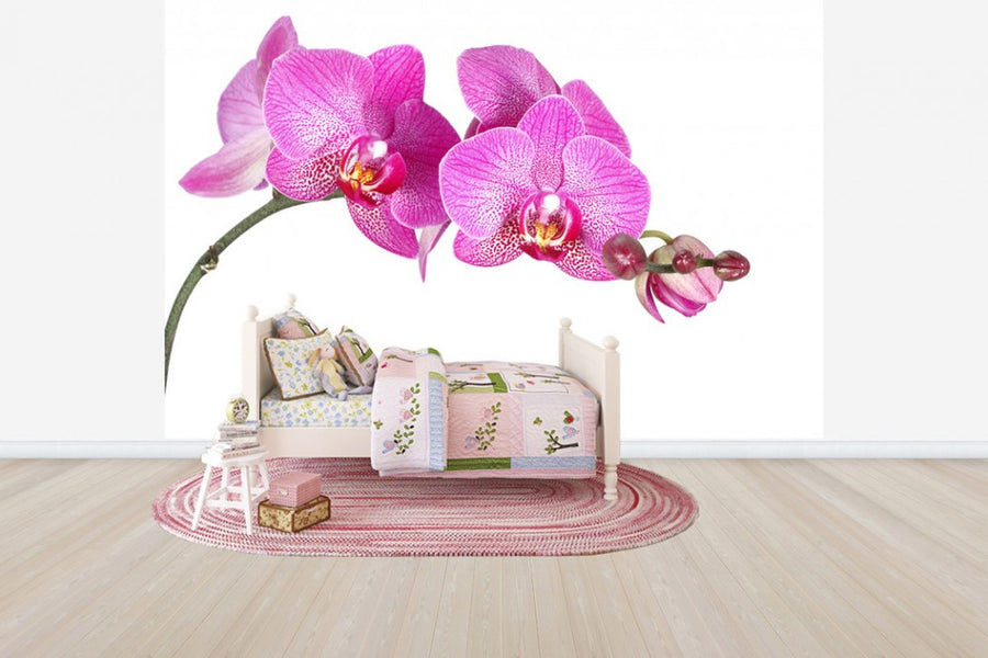 PHOTOWALL / Innocent Orchid (e40698)