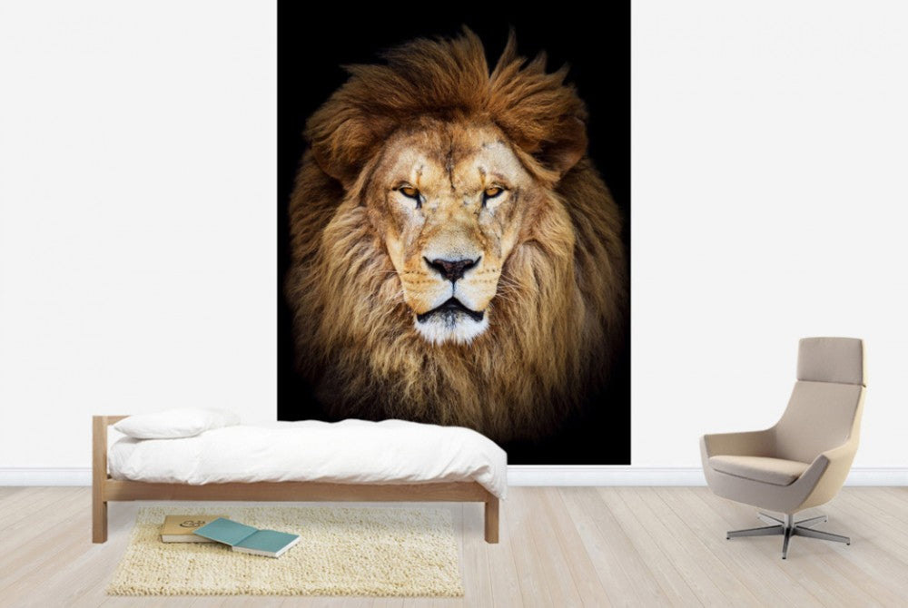 PHOTOWALL / Majestic Lion (e40709) | 輸入壁紙専門店 WALPA – WALPA.jp