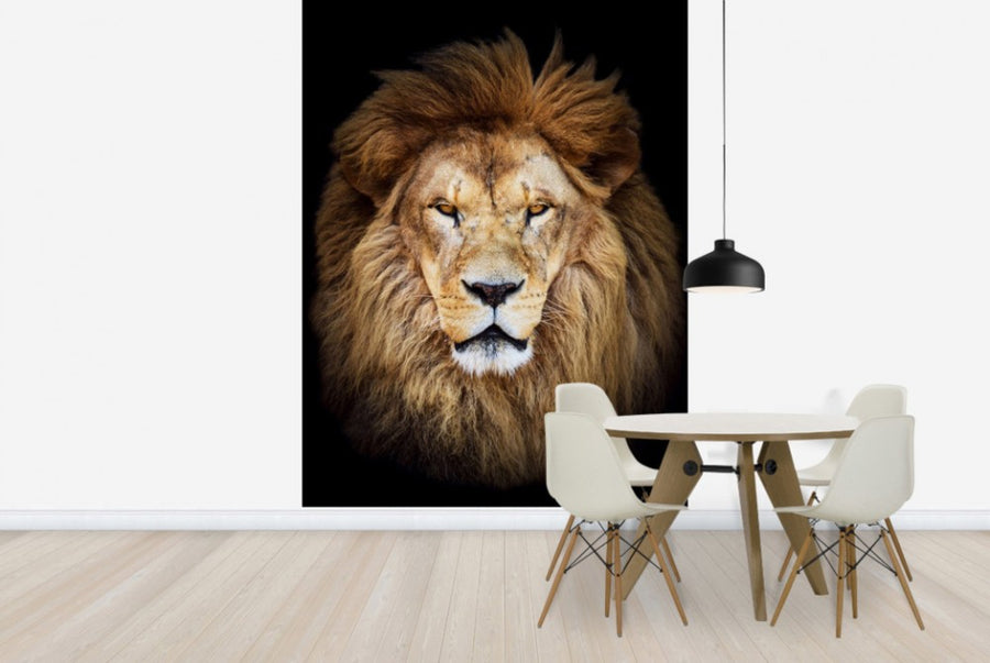 PHOTOWALL / Majestic Lion (e40709)