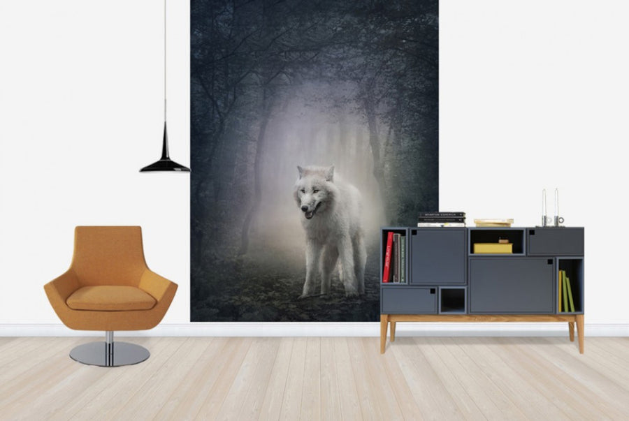 PHOTOWALL / White Wolf in the Night Forest (e40710)