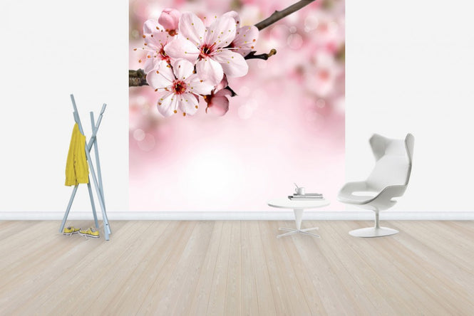 PHOTOWALL / Spring Border Cherry Blossom (e40700)