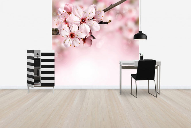 PHOTOWALL / Spring Border Cherry Blossom (e40700)