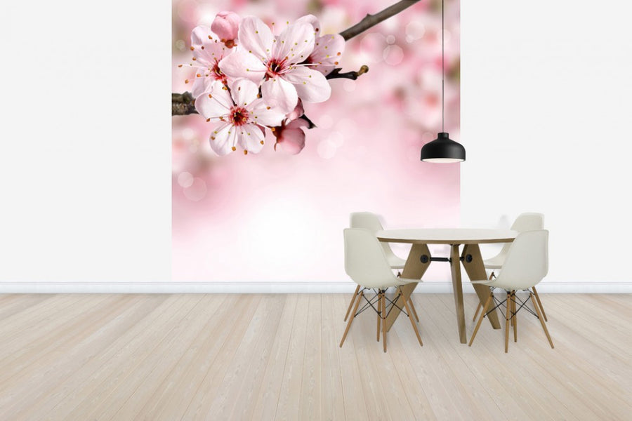 PHOTOWALL / Spring Border Cherry Blossom (e40700)