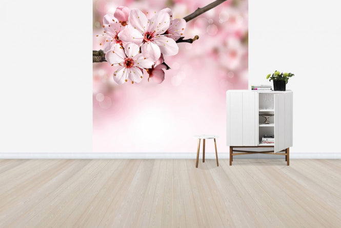 PHOTOWALL / Spring Border Cherry Blossom (e40700)