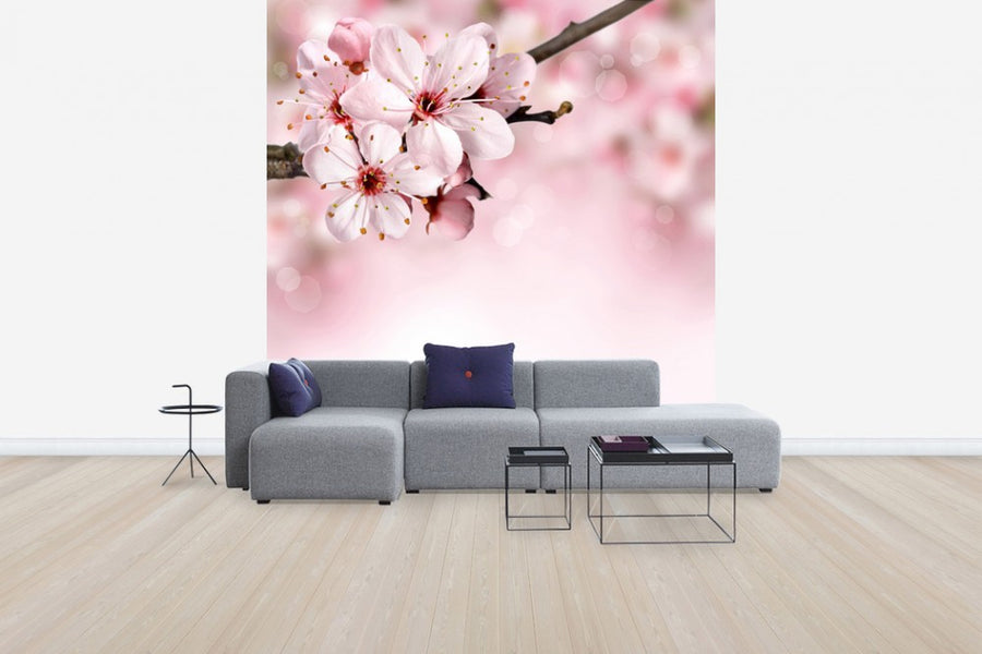 PHOTOWALL / Spring Border Cherry Blossom (e40700)