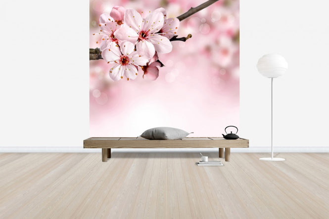 PHOTOWALL / Spring Border Cherry Blossom (e40700)