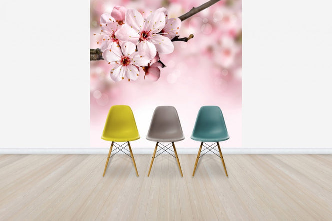 PHOTOWALL / Spring Border Cherry Blossom (e40700)