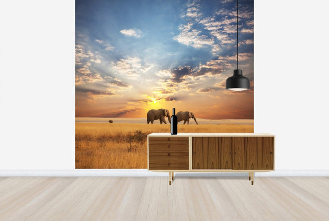 PHOTOWALL / Savannah Sunset (e40713)
