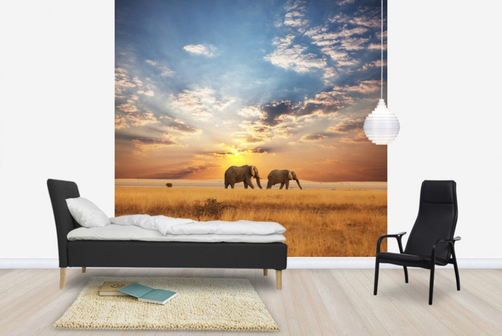 マルタページ PHOTOWALL / Savannah Sunset (e40713) | 輸入壁紙専門店 WALPA