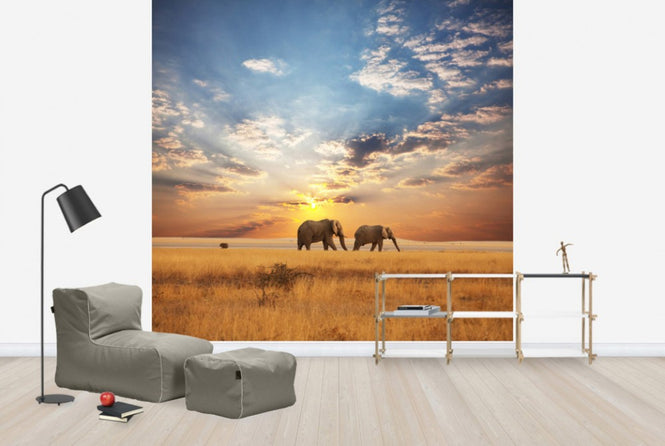 PHOTOWALL / Savannah Sunset (e40713)