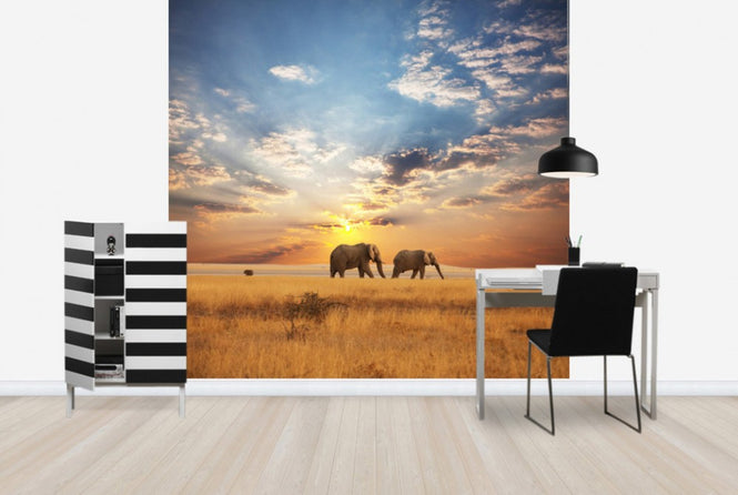 PHOTOWALL / Savannah Sunset (e40713)