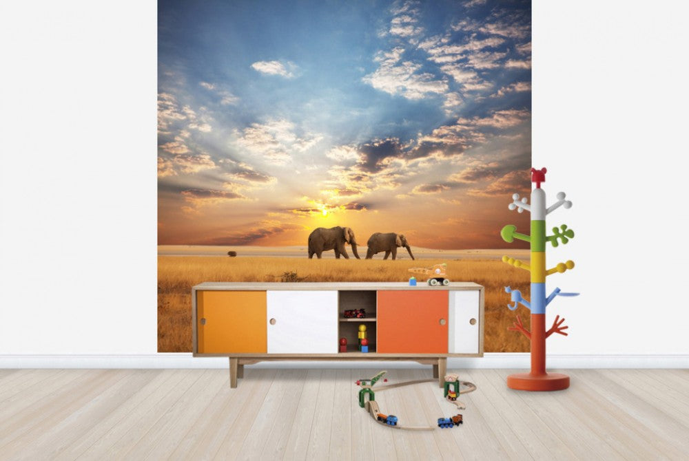 サバンナの夕陽　キャンバス PHOTOWALL / Savannah Sunset (e40713) | 輸入壁紙専門店 WALPA