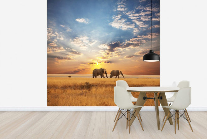 PHOTOWALL / Savannah Sunset (e40713)