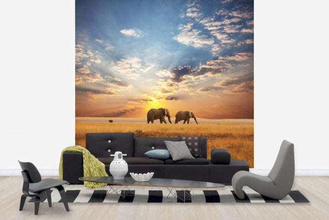 PHOTOWALL / Savannah Sunset (e40713)