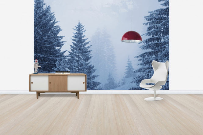 PHOTOWALL / Conferious Forest in Austria (e40736)