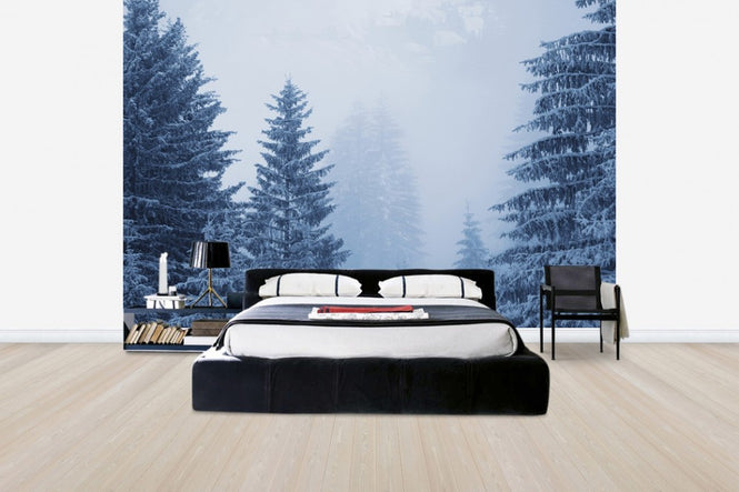 PHOTOWALL / Conferious Forest in Austria (e40736)