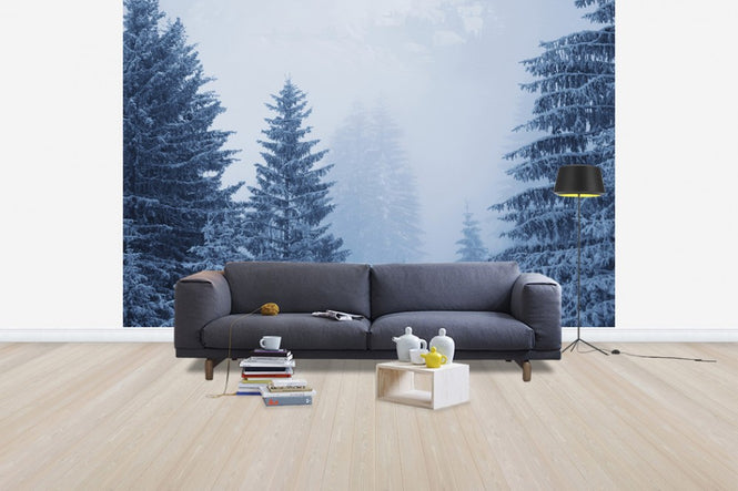 PHOTOWALL / Conferious Forest in Austria (e40736)