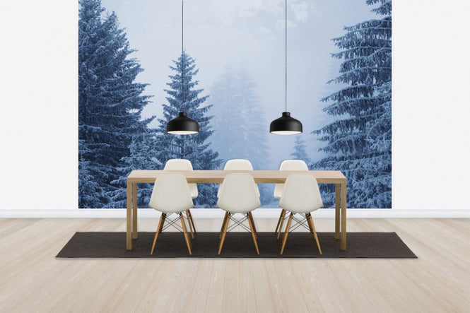 PHOTOWALL / Conferious Forest in Austria (e40736)