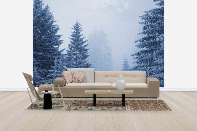 PHOTOWALL / Conferious Forest in Austria (e40736)