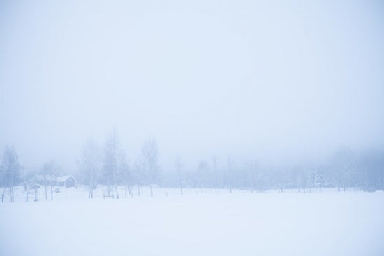 PHOTOWALL / Filipshyttan covered in Fog, Sweden (e40737)