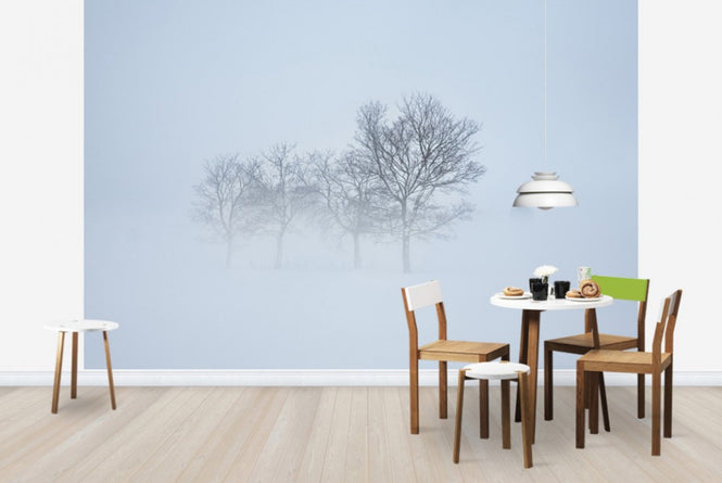 PHOTOWALL / Stockholm Field hiding in Fog, Sweden (e40768)