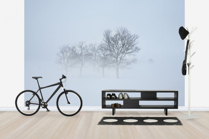PHOTOWALL / Stockholm Field hiding in Fog, Sweden (e40768)