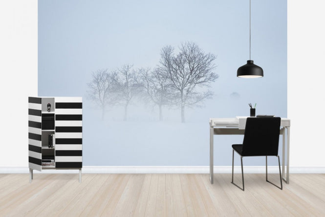 PHOTOWALL / Stockholm Field hiding in Fog, Sweden (e40768)
