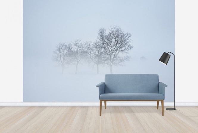 PHOTOWALL / Stockholm Field hiding in Fog, Sweden (e40768)