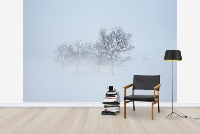PHOTOWALL / Stockholm Field hiding in Fog, Sweden (e40768)