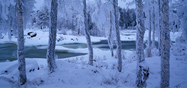 PHOTOWALL / Kengisforsen in Winter Dress (e40818)
