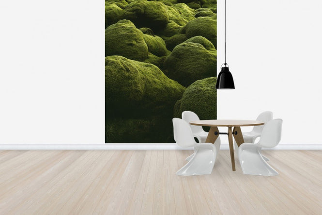 PHOTOWALL / Stones of Iceland (e40823)