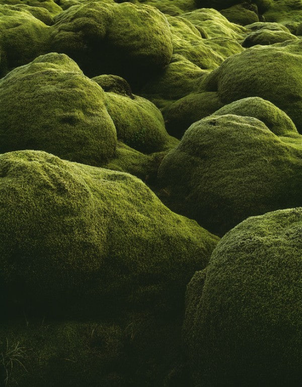 PHOTOWALL / Stones of Iceland (e40823)